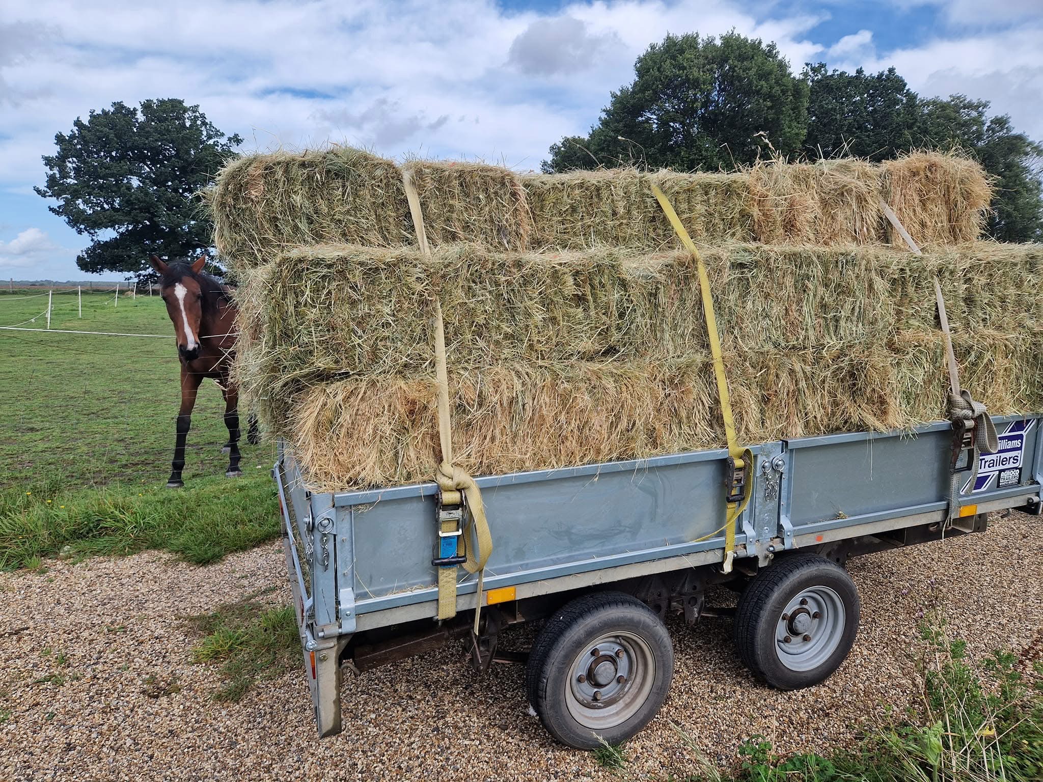 Grounds Clearance — AG Landscaping